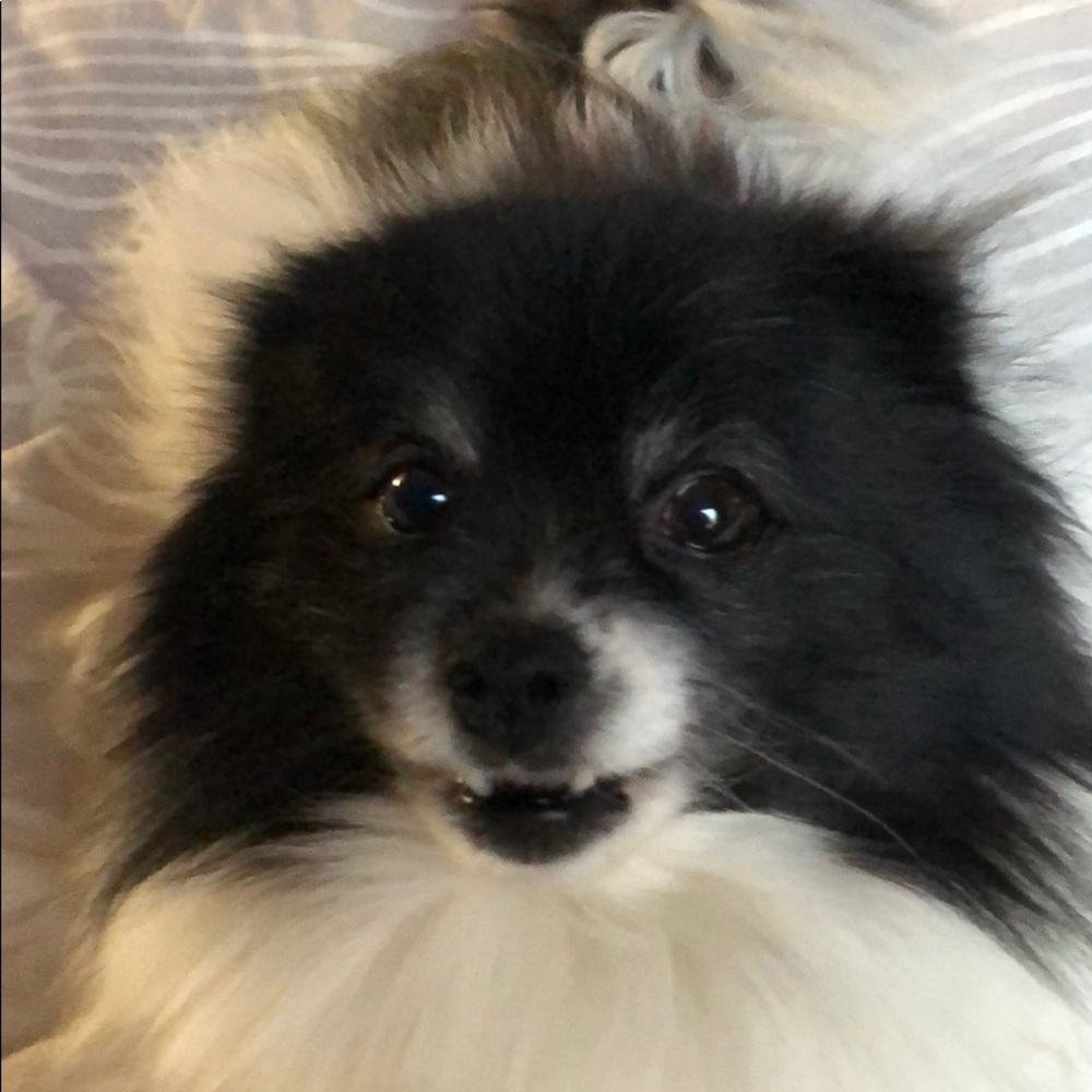 Meet your Posher, Cathy